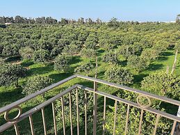 Tenuta Macconi Country Rooms