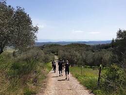 Pierhouse Hotel in Gouvia