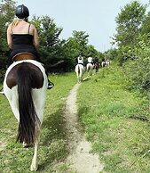 Pierhouse Hotel in Gouvia