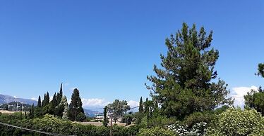 Pierhouse Hotel in Gouvia