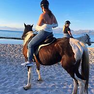 Pierhouse Hotel in Gouvia