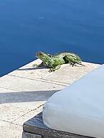 Tarpon Harbor Vacation Rentals