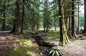 Snowline Lodge - Condo #37 - A Very Cute Condo - Near the Mountain, no