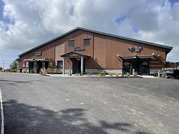 Static Caravan - The Dizzard