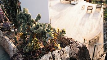 Kikonia Art & Suites