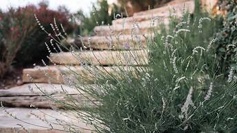 Kikonia Art & Suites