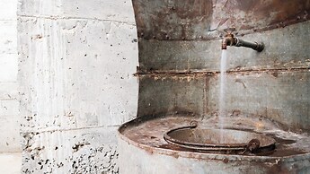 Kikonia Art & Suites