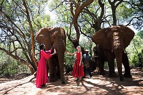 Mister C Guest House