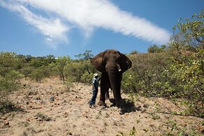 Mister C Guest House