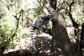 Mister C Guest House