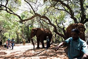 Mister C Guest House