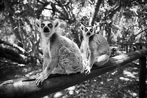 Mister C Guest House