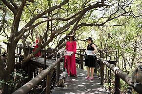 Mister C Guest House