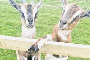 Solo Glamping Pod - Sleeps 4 - Northumberland