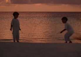 Joy Island