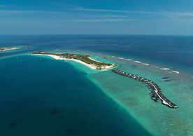 Joy Island