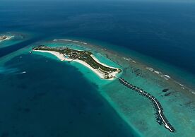 Joy Island