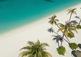 Joy Island