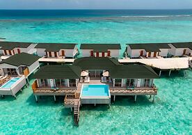 Joy Island
