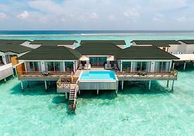 Joy Island