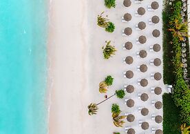 Joy Island