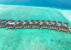 Joy Island