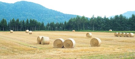 Furano Log House Farm Resort