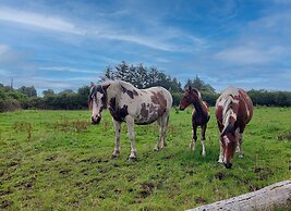 Farm View Cottage Castlerea