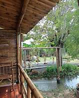 Bamboo Conservation Farm