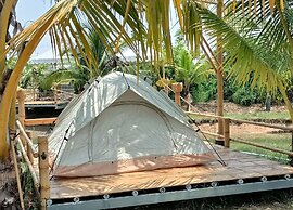 Bamboo Conservation Farm
