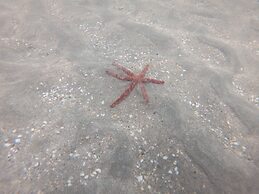 Chalés Village Gales