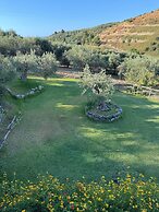 Agrolea Rodí Milici