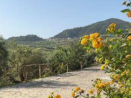 Agrolea Rodí Milici