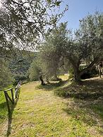 Agrolea Rodí Milici