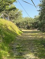 Agrolea Rodí Milici