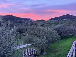 Agrolea Rodí Milici