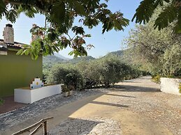 Agrolea Rodí Milici