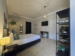 Singular Centro Histórico