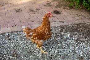 Plantation Jan Thiel Lodge