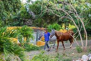 Plantation Jan Thiel Lodge