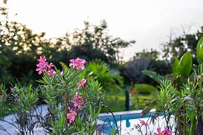 Plantation Jan Thiel Lodge