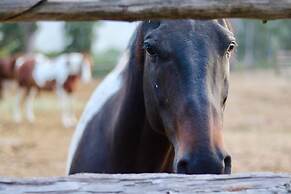 Bear Creek Guest Ranch