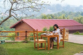 The Pear Orchard By Countryside