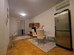 Immaculate Apartment in Center City With Parking