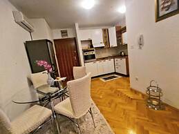 Immaculate Apartment in Center City With Parking