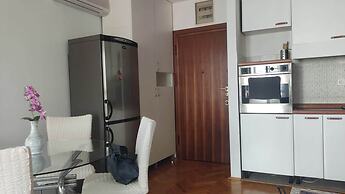 Immaculate Apartment in Center City With Parking