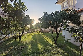 Freeman Greenlees Classical Greek