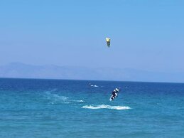 Freeman Greenlees Classical Greek