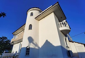 Freeman Greenlees Classical Greek