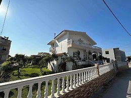 Freeman Greenlees Classical Greek